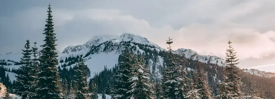 Whistler Village