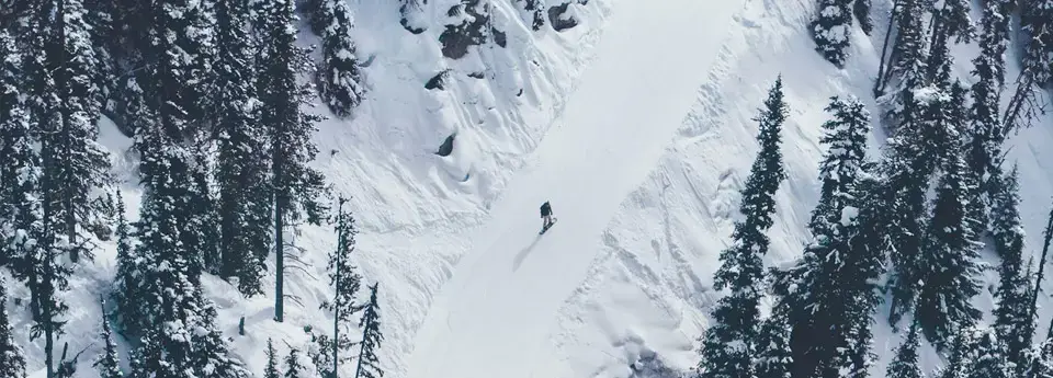 Whistler Village